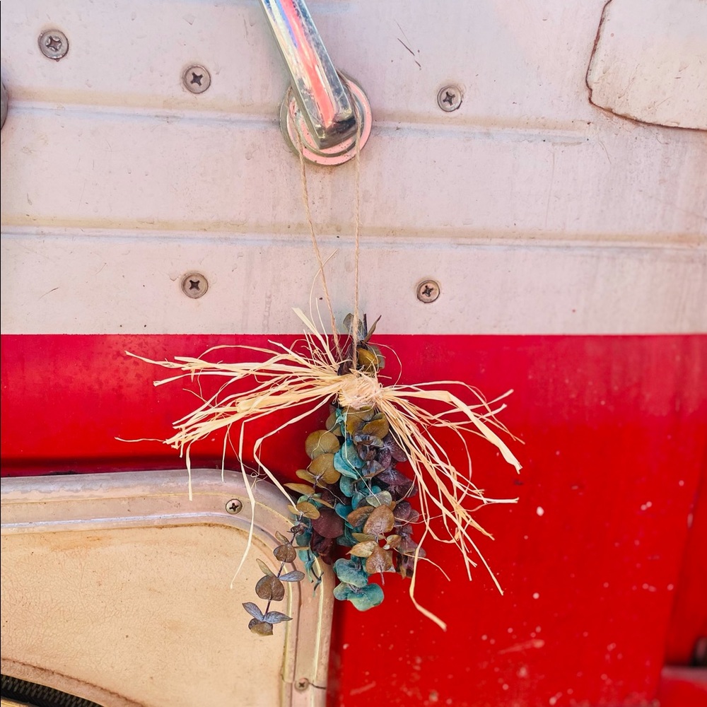 Small Dried Eucalyptus Bundle for Car or Home